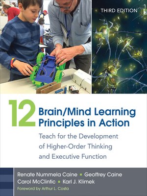 cover image of 12 Brain/Mind Learning Principles in Action